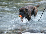 2009_08230136.JPG