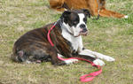 2009_03080026.JPG