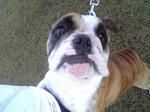 2009_09140021.jpg