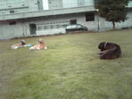 2009_10280008.jpg
