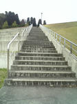 2009_11100001.jpg