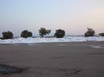 2010_01150004.jpg