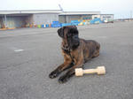 2010_01150006.jpg