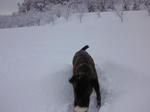 2010_01150008.jpg