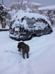 2010_01150010.jpg