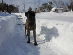 2010_02040005.jpg