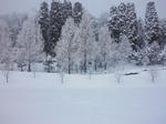 2010_02040007.jpg