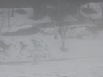 2010_02090003.jpg