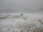 2010_02090004.jpg