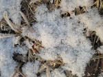 2010_02130003.jpg