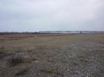 2010_02180001.jpg