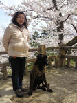 2010_04100010.jpg