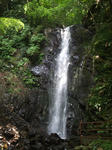 resize0111.jpg