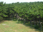 resize0105.jpg