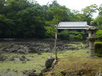 resize0102.jpg