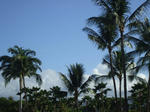 resize0118.jpg