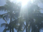 resize0126.jpg