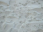 resize0135.jpg