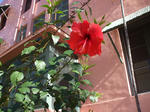 resize0142.jpg