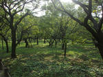 resize0171.jpg