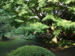 resize0172.jpg