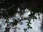 resize0181.jpg