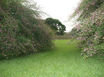 resize0180.jpg