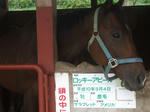 resize0211.jpg