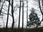 resize0277.jpg