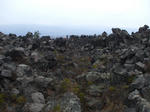 resize0285.jpg