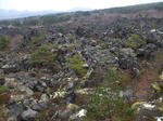 resize0292.jpg