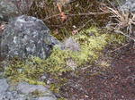 resize0295.jpg