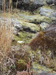 resize0296.jpg