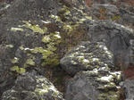 resize0297.jpg