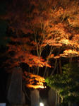 resize0316.jpg