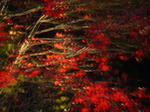 resize0323.jpg