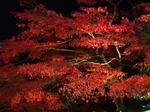resize0326.jpg