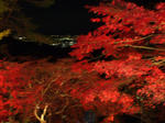 resize0327.jpg