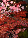resize0329.jpg