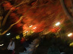 resize0331.jpg