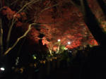 resize0332.jpg