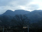resize0393.jpg