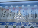 resize0437.jpg