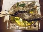 resize0430.jpg