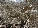 resize0443.jpg
