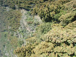 resize0450.jpg