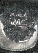 resize0498.jpg
