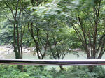 resize0560.jpg
