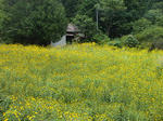 resize0574.jpg