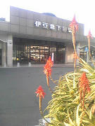 resize0988.jpg